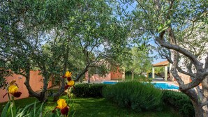 A garden with a pool, surrounded by trees and a building with a red roof. - Villa VERSOVICA (Istria - Peruški) (Peruški)