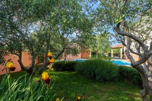 Property grounds - Villa VERSOVICA (Istria - Peruški) (Peruški)
