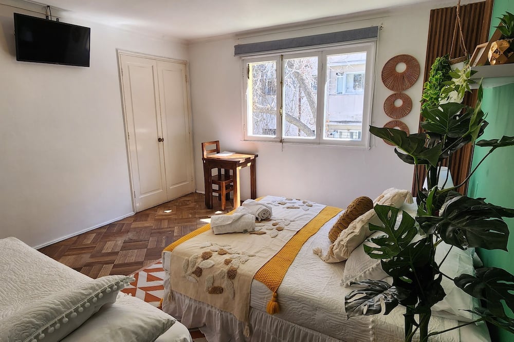 Hotel Andino
