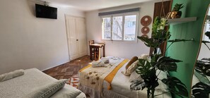 A bedroom with a bed, a chair, a TV, a window, and a plant. - Hotel Andino (Santiago)