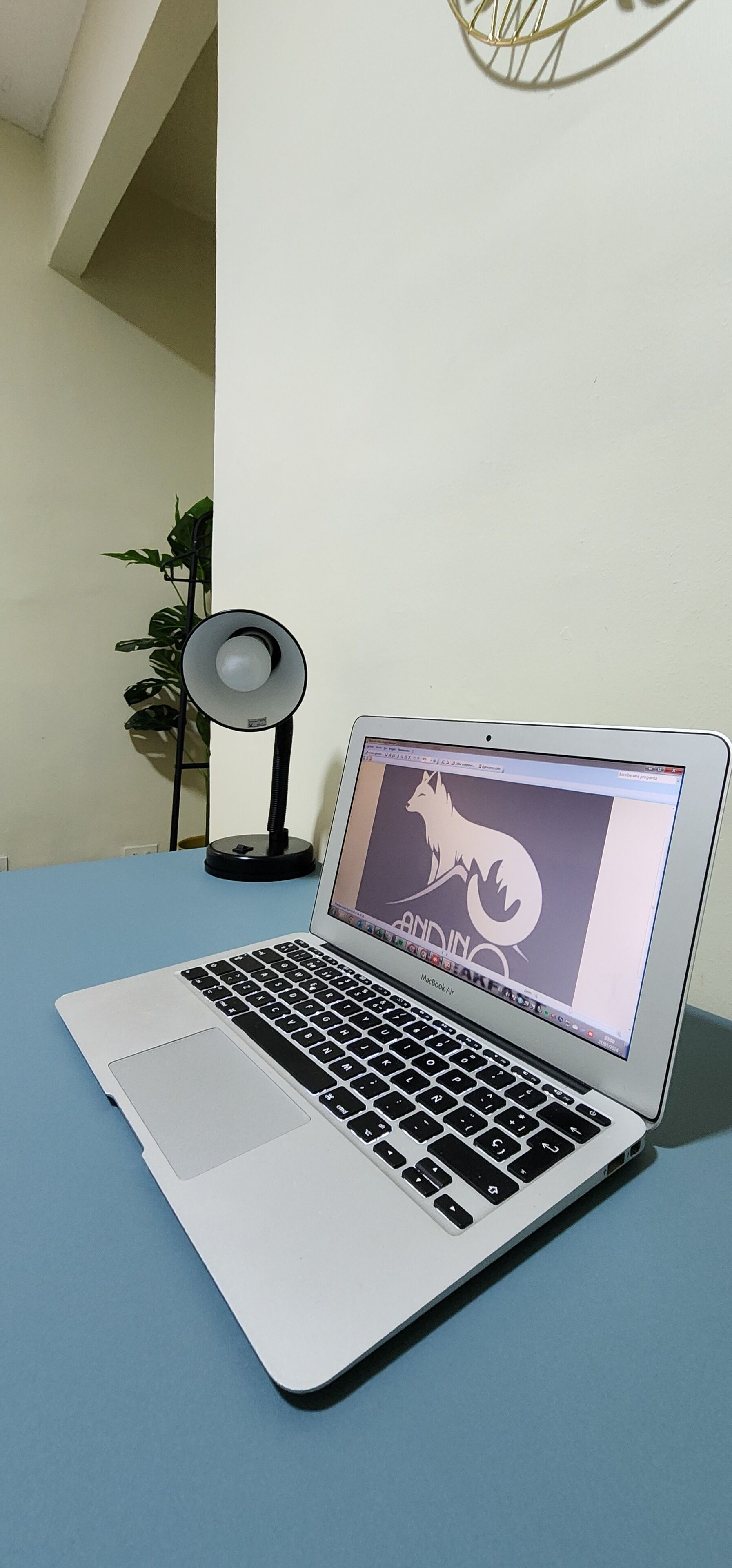 A laptop on a blue table with a plant and a lamp in the background.