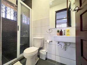 Shower, towels, soap, toilet paper