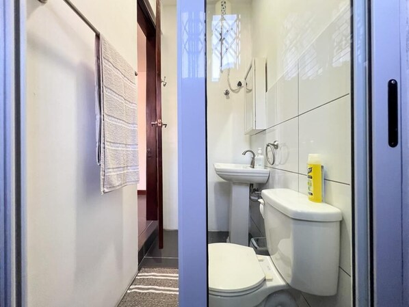 Shower, towels, soap, toilet paper