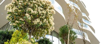 Nordis Hotels Mamaia