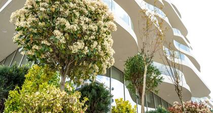 Nordis Hotels Mamaia