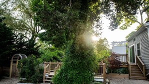 A residential garden with a large tree, wooden steps leading to a deck, and a house with a white exterior. - Falmouth Charm: Close to Main Street & Bike Trail RPAM098 (Falmouth)