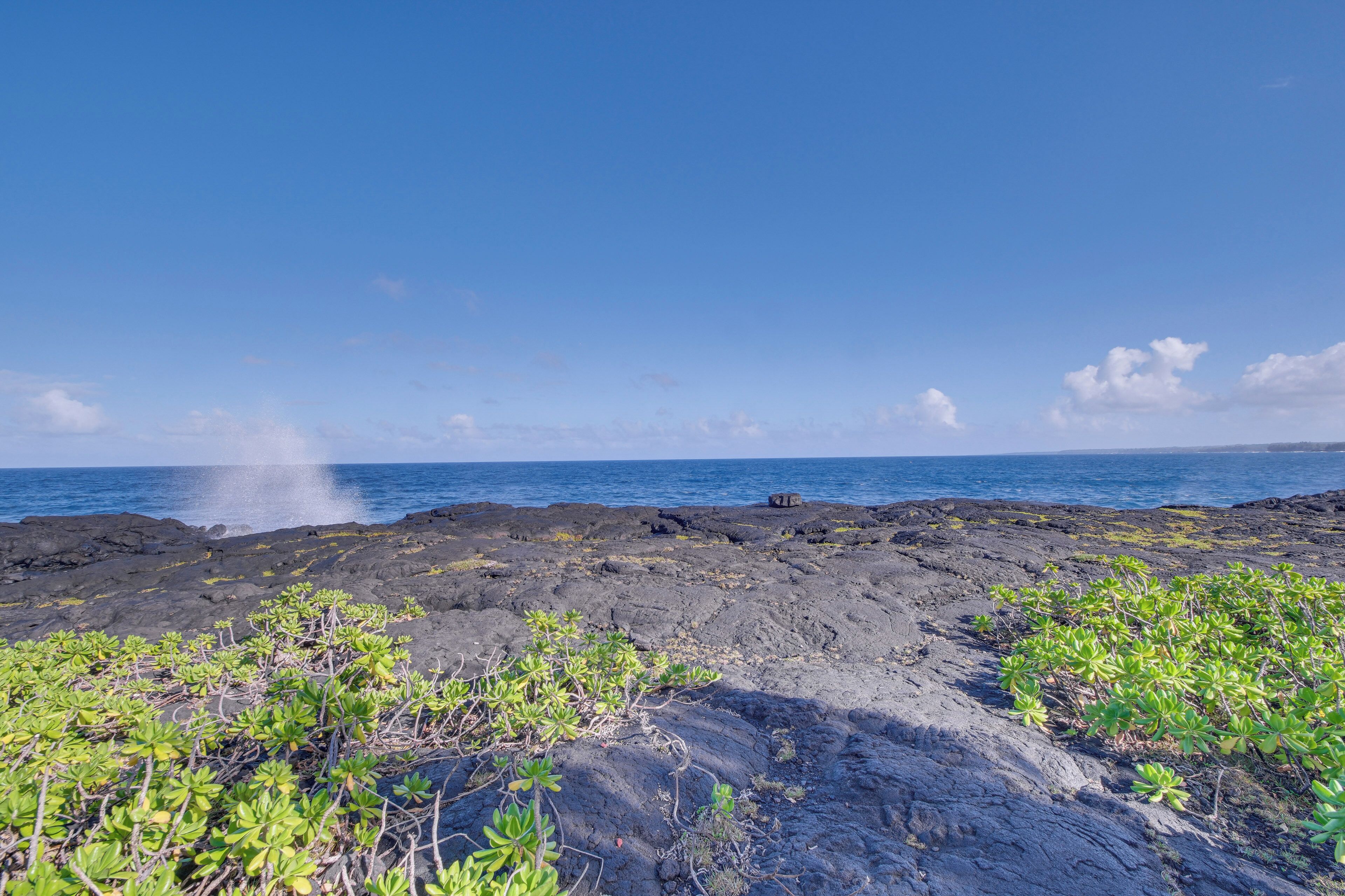 Une côte rocheuse avec une végétation clairsemée et un ciel bleu dégagé.