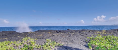 Une côte rocheuse avec une végétation clairsemée et un ciel bleu dégagé.