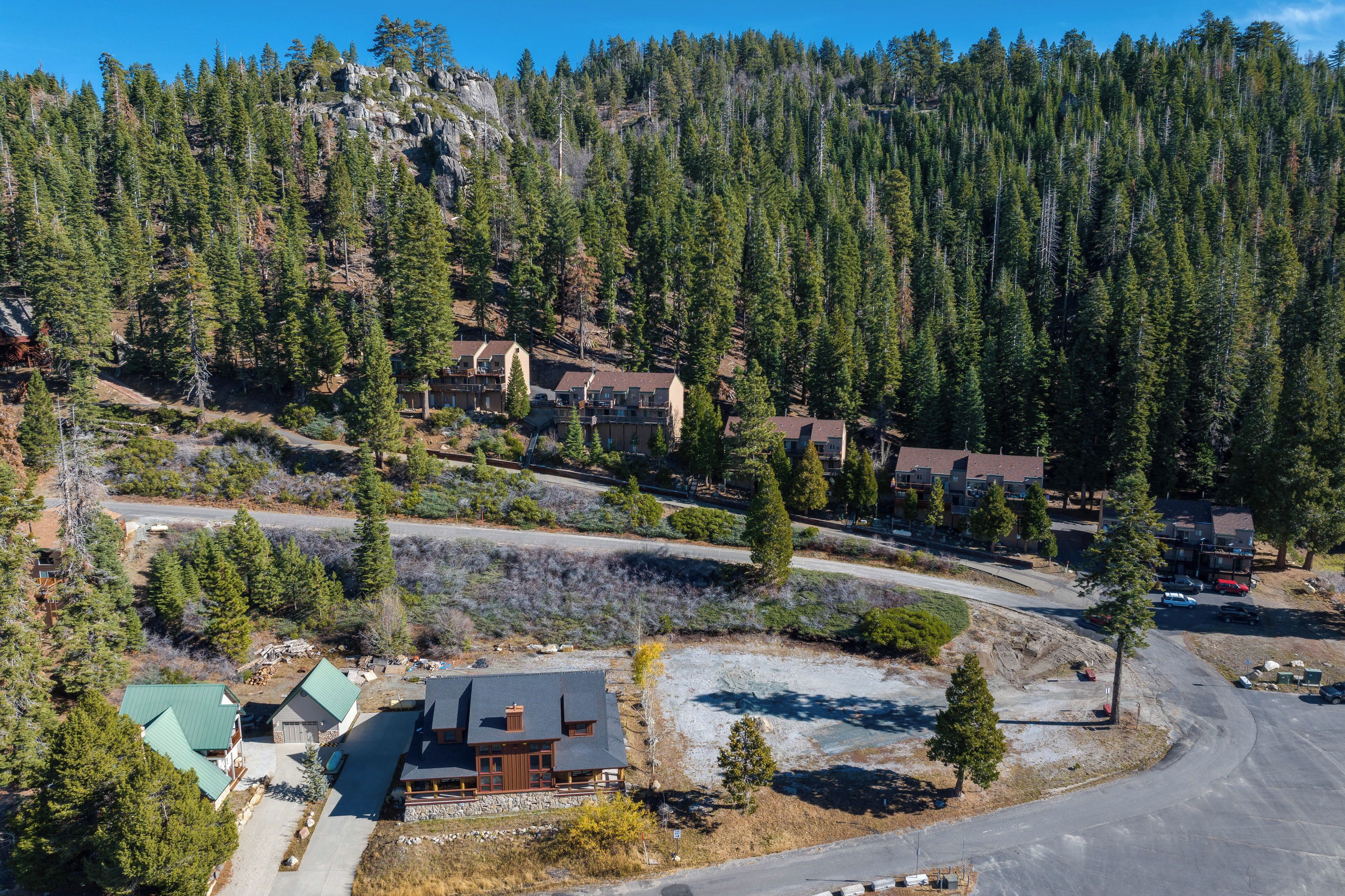 A residential area with houses on a hillside, surrounded by dense forest.