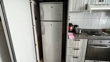 Deluxe Apartment | Private kitchen | Full-size fridge, cleaning supplies