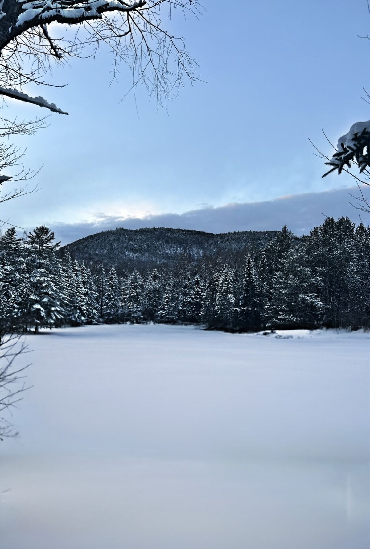 Foto de perfil del anfitrión