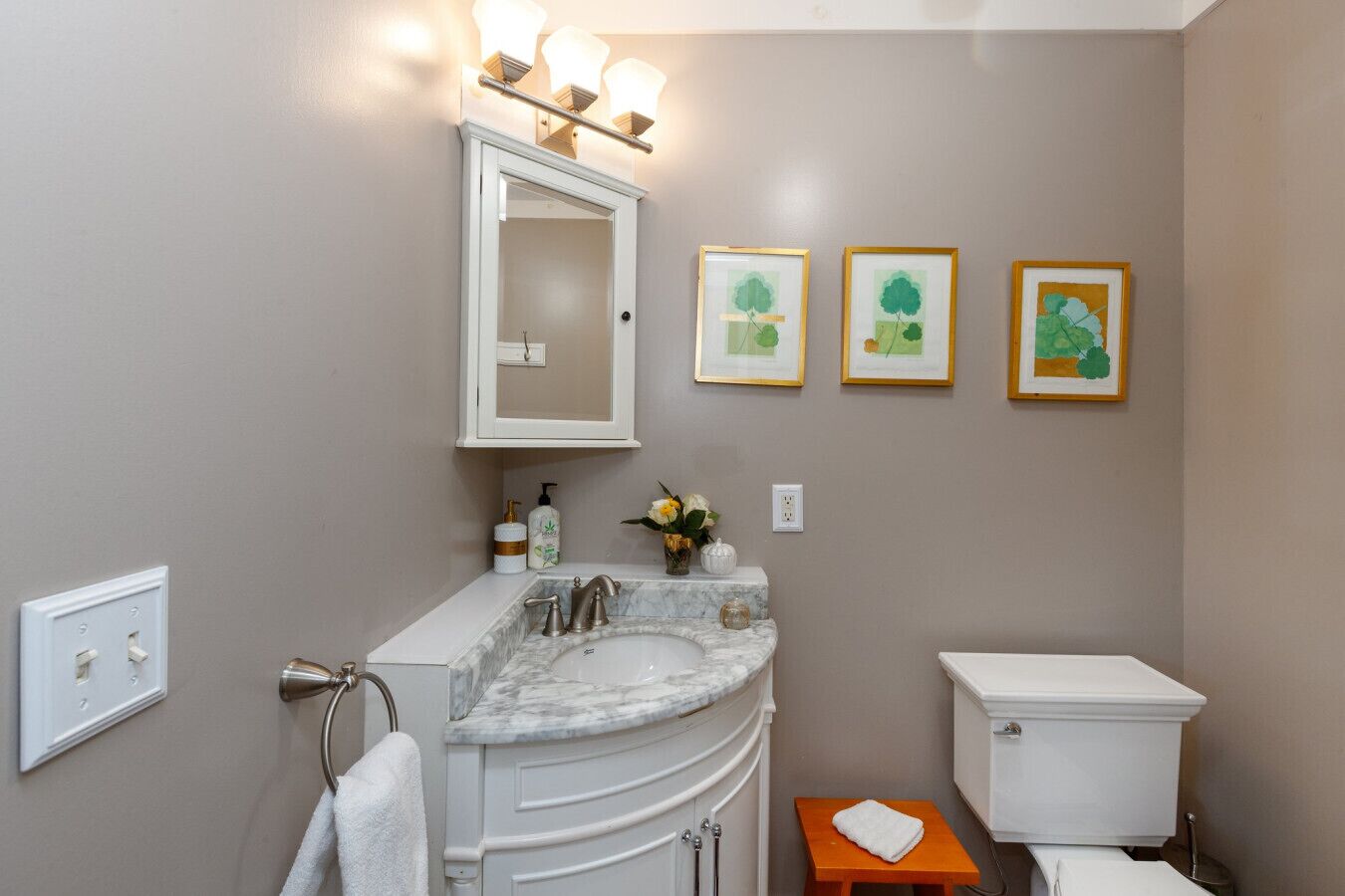 A bathroom with a marble sink, a white toilet, and framed botanical artwork on the wall.