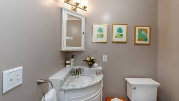 A bathroom with a marble sink, a white toilet, and framed botanical artwork on the wall.