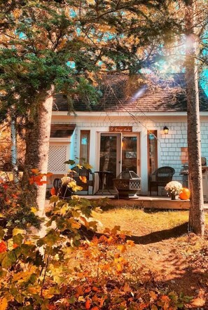 Terrace/patio - Tranquil Cottage at FarAway Pond (Whitefield)