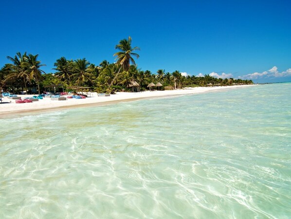 Beach - Brand New, Eco-Friendly, Apartment w/pool – Aflora (Tulum)