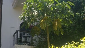 Exterior - WARERE TOWN HOUSE (Zanzibar Town)
