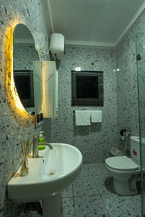 A bathroom with a sink, toilet, and a mirror.
