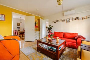 Smart-TV, Kamin