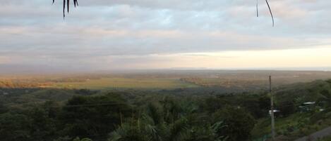 A panoramic view of a lush landscape with dense vegetation and a distant horizon.