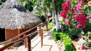 Un sendero conduce a una estructura con techo de paja, rodeada de abundante follaje y vibrantes flores rosadas.