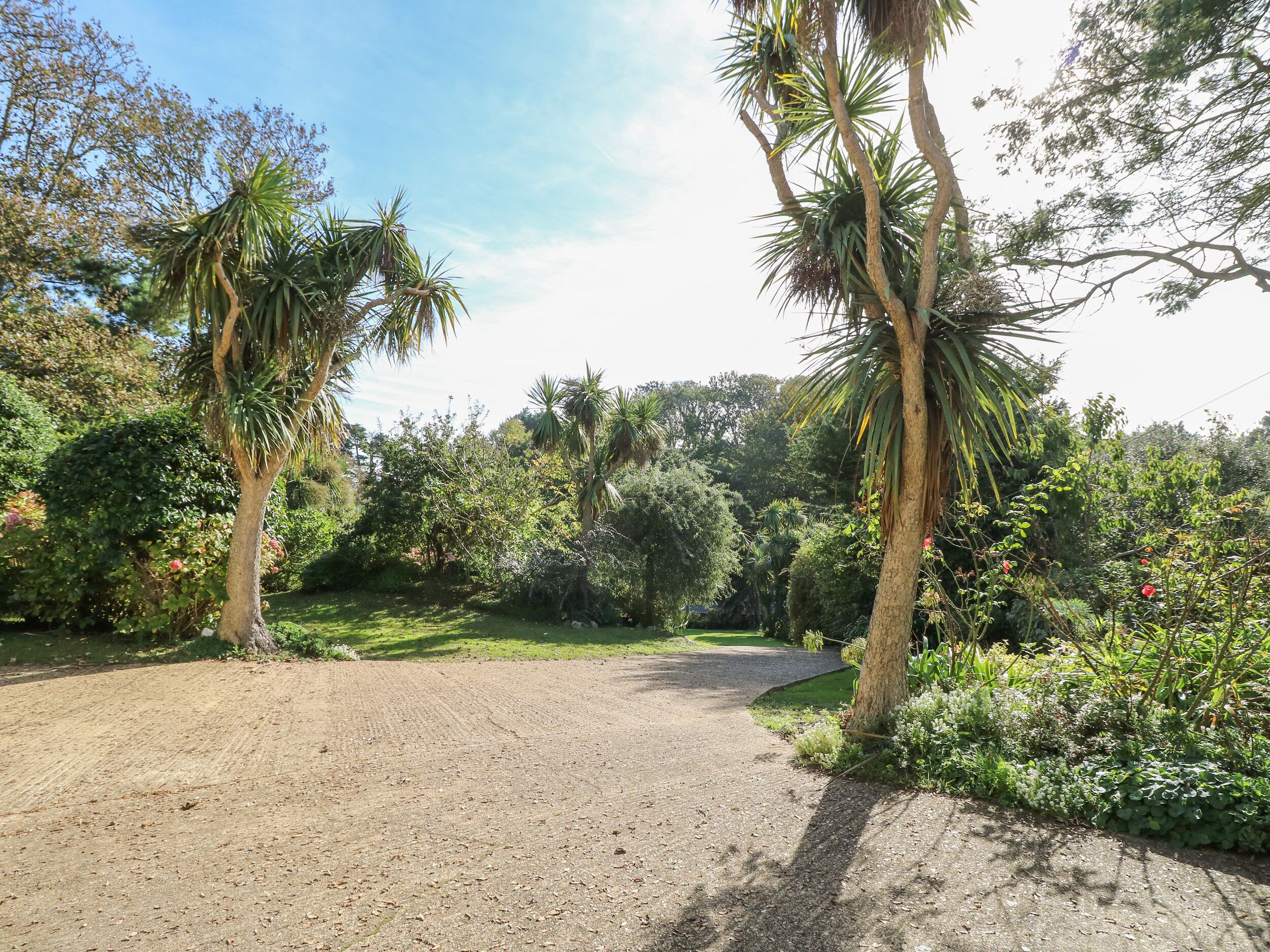 A gravel path leading through a lush garden with palm trees and dense foliage.