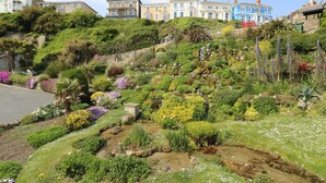 A hillside garden with diverse flora and a row of colorful buildings in the background. - Burwyns (Ventnor)