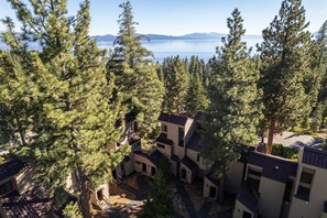 A residential area with multiple buildings, surrounded by tall pine trees, and a lake with mountains in the background.