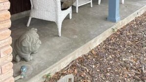A porch with two wicker chairs, one with a yellow pillow.