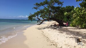 A beach with clear turquoise water, a large tree providing shade, and a sandy shore. - Villas "les Saintes" Pour 4 à 5 Personnes à 50 m de la Plage au Calme (Saint-François)