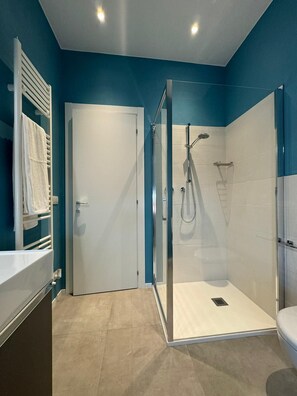 Regadera, secadora de cabello, bidet, toallas
