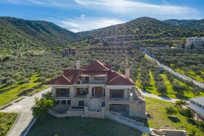 A large two-story house with a red-tiled roof, stone foundation, and a spacious front yard with a driveway. - Paul's American Mansion- Volos suburb (Volos)