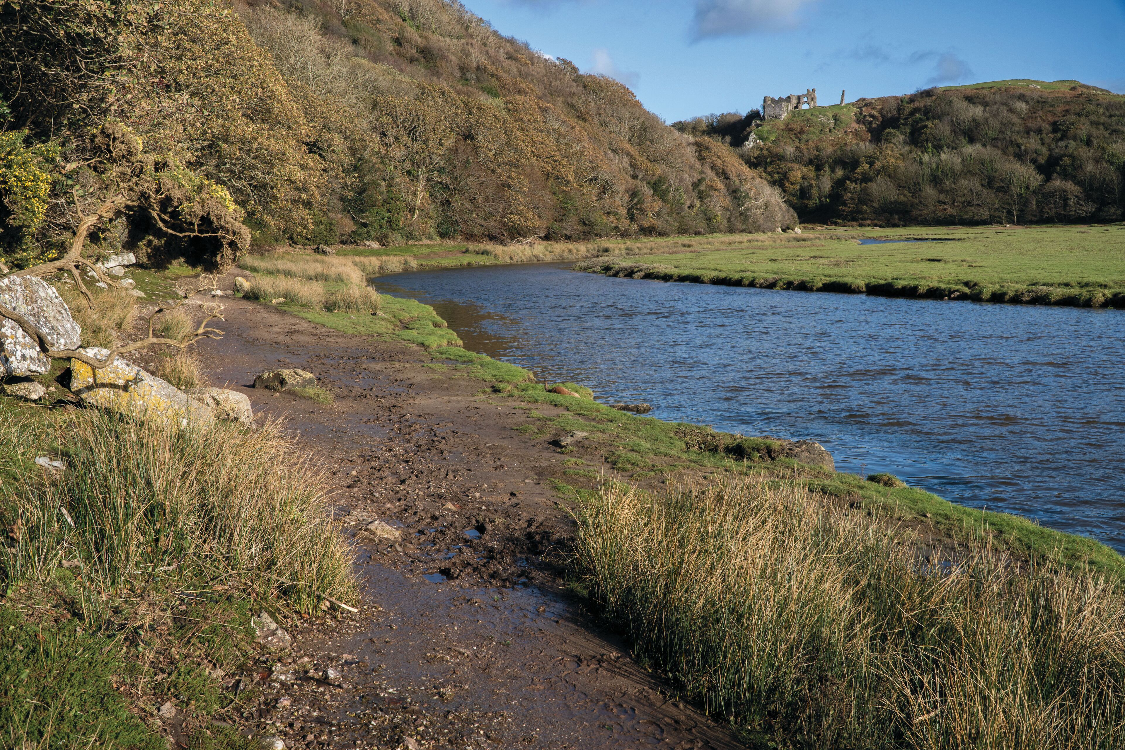 A riverbank with a path, grassy areas, and a castle on a hill.
