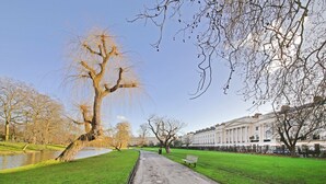 A park with a pathway, benches, and a large tree. - Central London apartment (London)