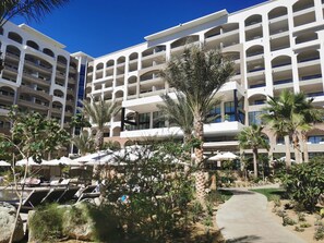 Interior detail - Carretera Transpeninsular KM18 (San José del Cabo)