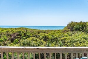 Property grounds - Coral Shores #17, Oceanfront Condo in Pine Knoll Shores, NC! (Pine Knoll Shores)