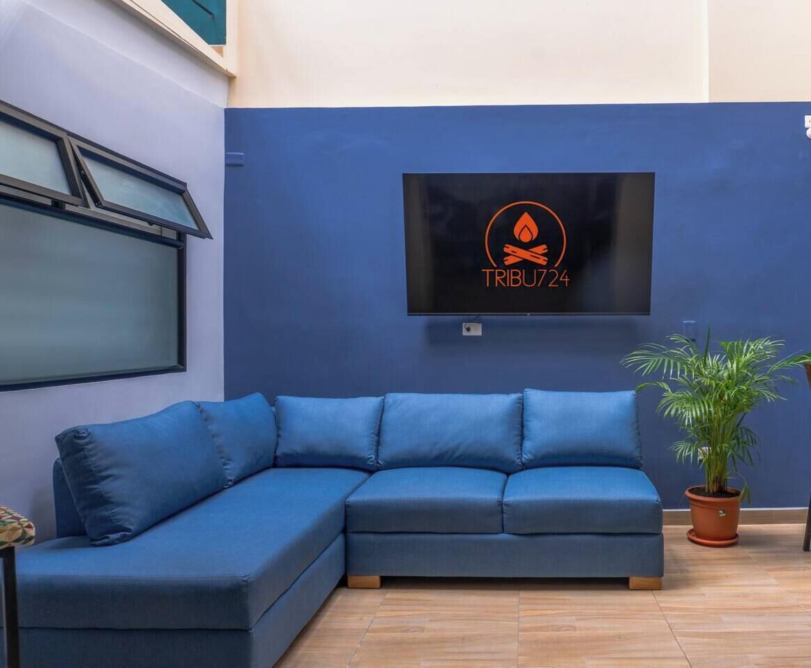 Una sala moderna con un sofá azul, una planta en maceta y un televisor de pantalla plana montado en la pared que muestra el texto 'TRIBU724'.