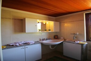 Shower, hair dryer, bidet