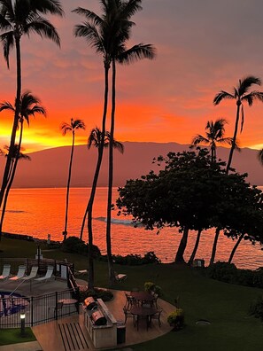 A sunset view with palm trees and a pool area.