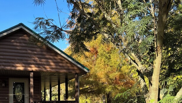 A rustic cabin with a porch, surrounded by a well-maintained lawn and trees.