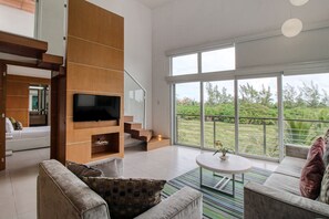 TV