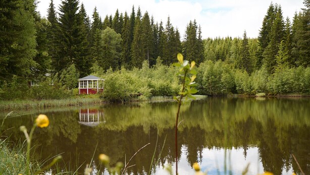 Una baita circondata da una fitta foresta e un lago tranquillo.