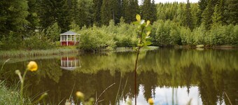 Unterkunft im Wald am See. Kommen Sie zu uns Nach Schweden