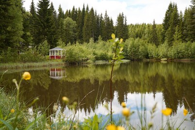 Unterkunft im Wald am See. Kommen Sie zu uns Nach Schweden