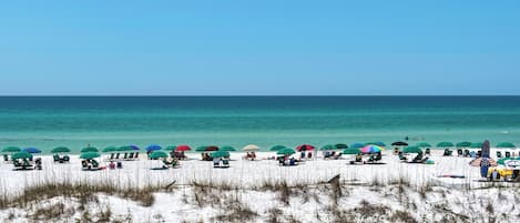 Playa en los alrededores