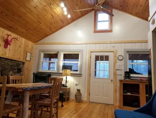 Adirondack Birch Inspired Cabin