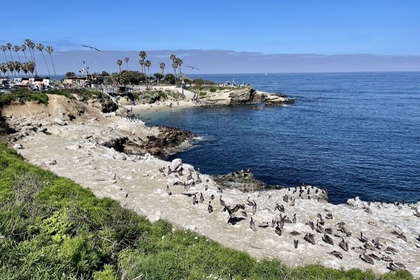 Chaises longues, serviettes de plage