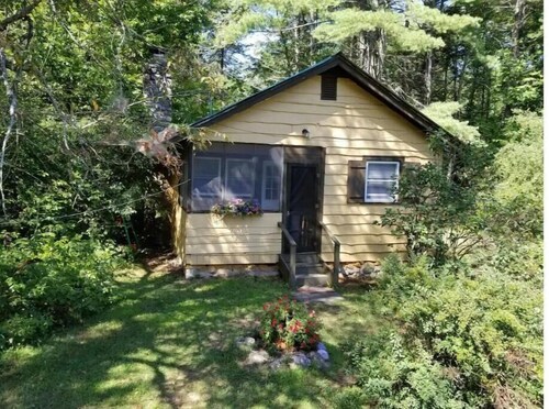 Butternut Adirondack Cabin.