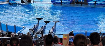 SPACIOUS 1 BEDROOM HOUSE  IN DISNEY AREA 5 STAR RATED MILL CREEK RESORT 1377