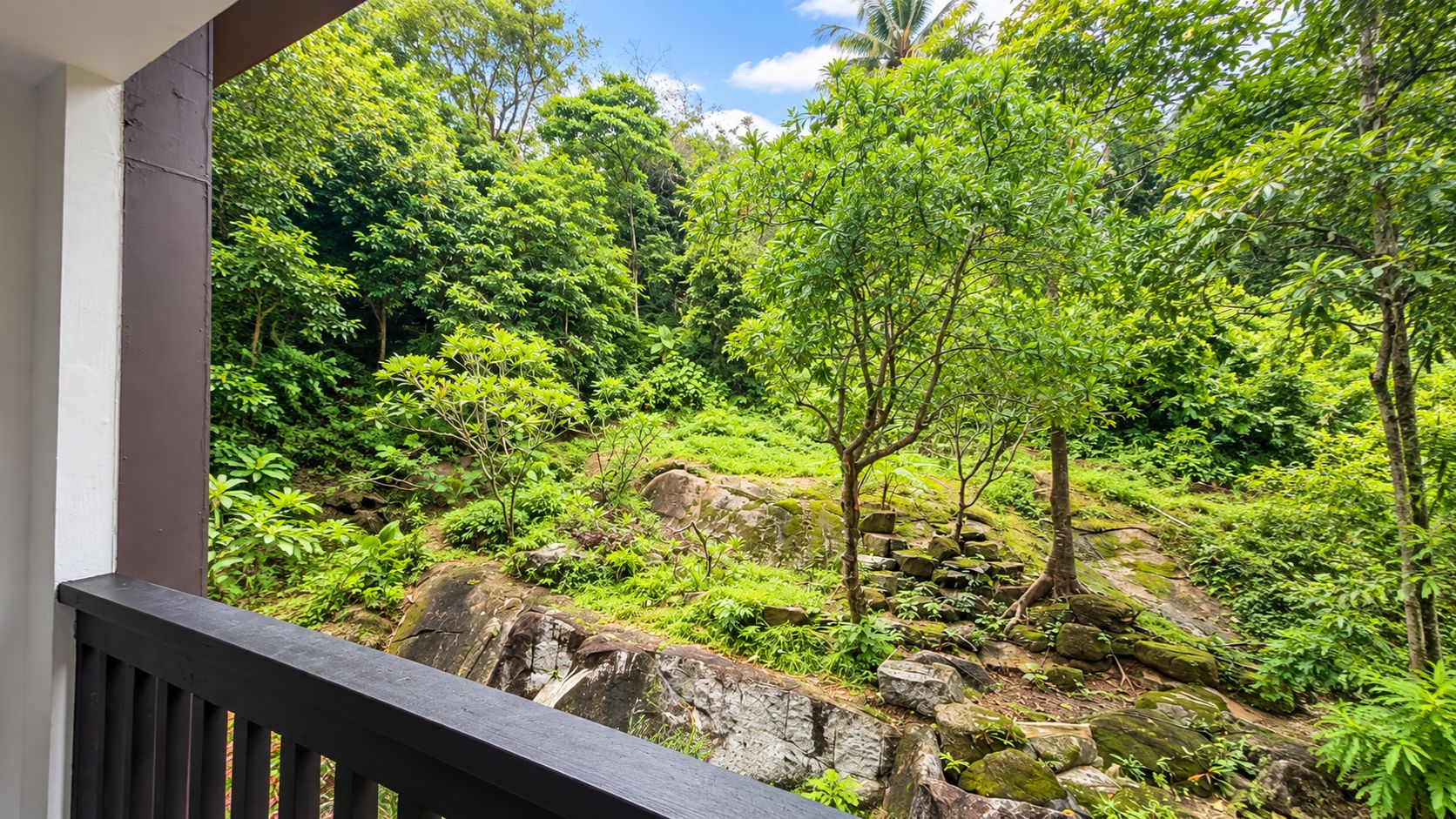 Un balcon donnant sur un jardin luxuriant, avec différentes espèces d’arbres et des rochers.