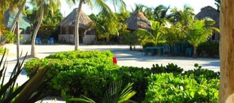 Costa De Cocos #3
 